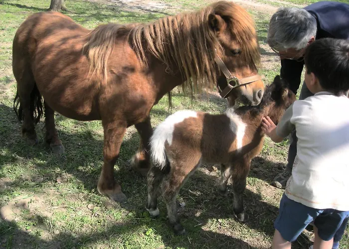 Turisticna Kmetija Logar Affittacamere 3*